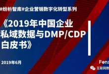 全文发布《2019年中国企业私域数据与DMP/CDP白皮书》-宋星的数字观