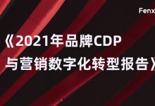 历时4个月、180页+、超40,000字的2021年最新版CDP报告出炉！-宋星的数字观