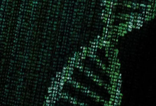 一方数据最大的问题，是应用在哪里？-宋星的数字观