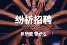 【纷析咨询招聘】线上产品运营总监&运营助理-宋星的数字观