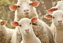 私域的本质，是反人性的-宋星的数字观