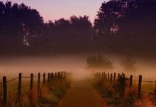 车企如何利用5R模型突围数字营销-宋星的数字观