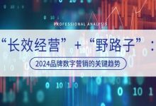 “长效经营”+“野路子”:2024品牌数字营销的关键趋势-宋星的数字观