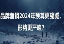 2024年预算更缩减,形势更严峻吗?我近期跟多个品牌主们聊了聊-宋星的数字观