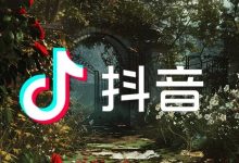 品牌企业:抖音上早没免费流量红利了!-宋星的数字观