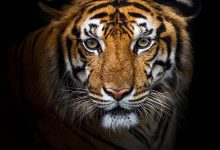 想在抖音赚到钱？2025年抖音电商的利润公式-宋星的数字观