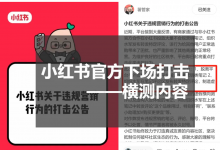 小红书“流量工业化”批量造富方法：素人矩阵号自然流带货-宋星的数字观