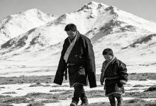 花钱投广告做投流没效果,跟一个错误认知有很大关系!-宋星的数字观