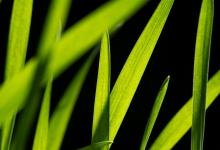 直播不带货还能做什么?-宋星的数字观